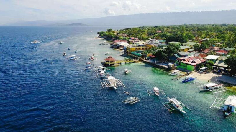 Cebu: Whale Shark, Monkey Sanctuary, & Moalboal Snorkel Tour - Who Would Love This Tour?