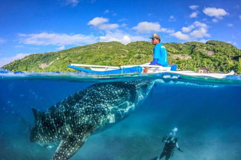 Cebu: Whale Shark, Monkey Sanctuary, & Moalboal Turtles Tour - Visiting the Monkey Sanctuary
