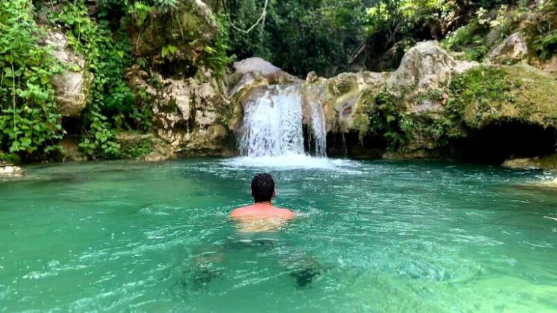 Cebu: Whale Shark Swimming & Inambakan Falls Adventure - Who Will Love This Tour?