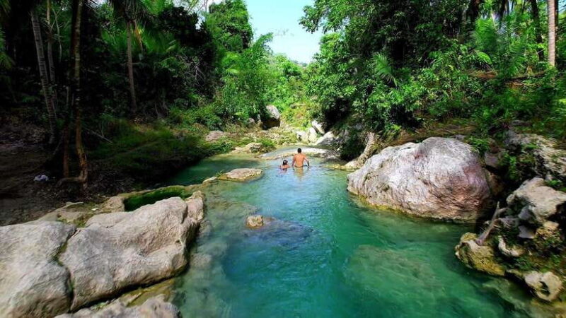Cebu: Whale Shark Swimming & Inambakan Falls Adventure - Final Thoughts