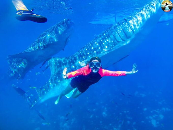 Cebu: Whale Shark Swimming & Kawasan Falls Canyoneering - Canyoneering at Kawasan Falls