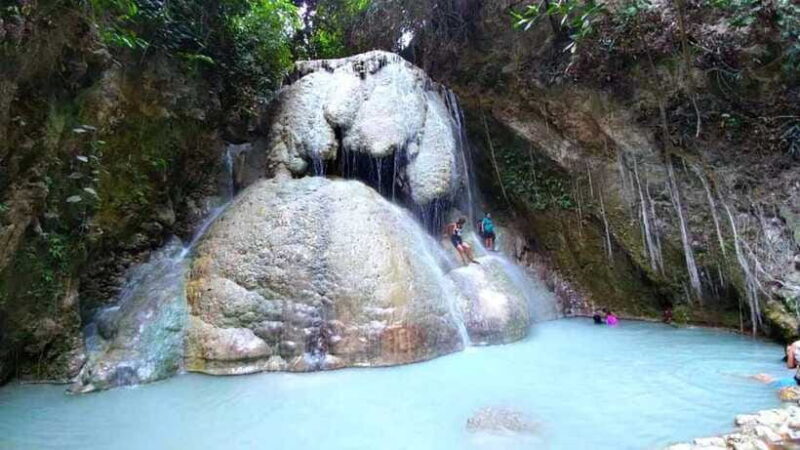 Cebu: Whale Shark Watching & Aguinid Falls Tour opt Lunch - What It Means for You