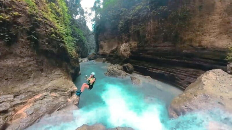 Cebu: Whale Shark Watching and Canyoneering Group Tour - A Closer Look at the Tour Experience