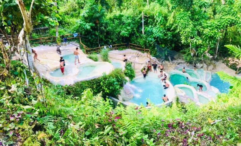 Cebu: Whale Shark Watching, Simala Church & Ka Treasure Tour - The Sum Up