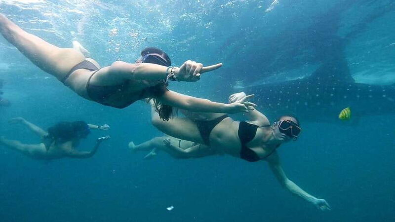 Cebu: Whale Sharks, Ka-Treasure Water Terraces & Simala Tour - The Experience: A Deep Dive into the Tour