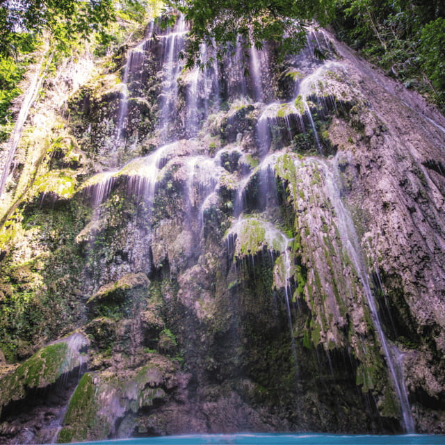 Cebu Whale Sharks Tumalog Falls Sumilon - Who Should Consider This Tour?