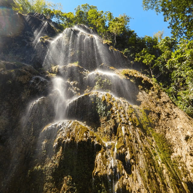 Cebu Whale Sharks Tumalog Falls Sumilon - Final Thoughts