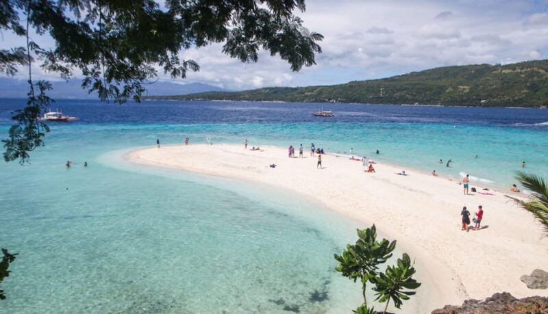 Cebu: Whaleshark Encounter, Tumalog Falls & Sumilon Sandbar - Key Points