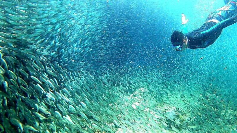 Cebu:ATV, Mantayupan Falls & Pescador Island Hopping w/Meals - The Sum Up