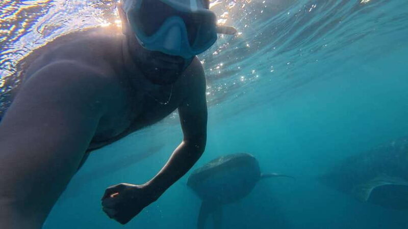 Cebu:Oslob WhaleSharkWatching,Kawasan Canyoneering - An Overview of the Tour