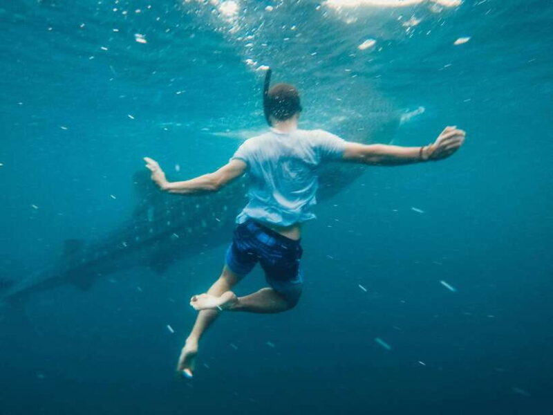 Cebu:Oslob WhaleSharkWatching,Kawasan Canyoneering - What to Expect: The Good, the Great, and the Considerations