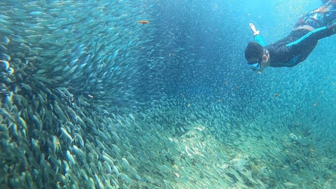 Cebu:Sardine Run Snorkeling, Mantayupan Falls & ATV Thrills - What to Bring