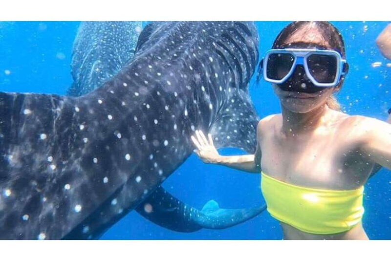 Cebu:Whale Shark, Waterfall, and Sardine Run Group Tour+Meal - What’s Included and What’s Not