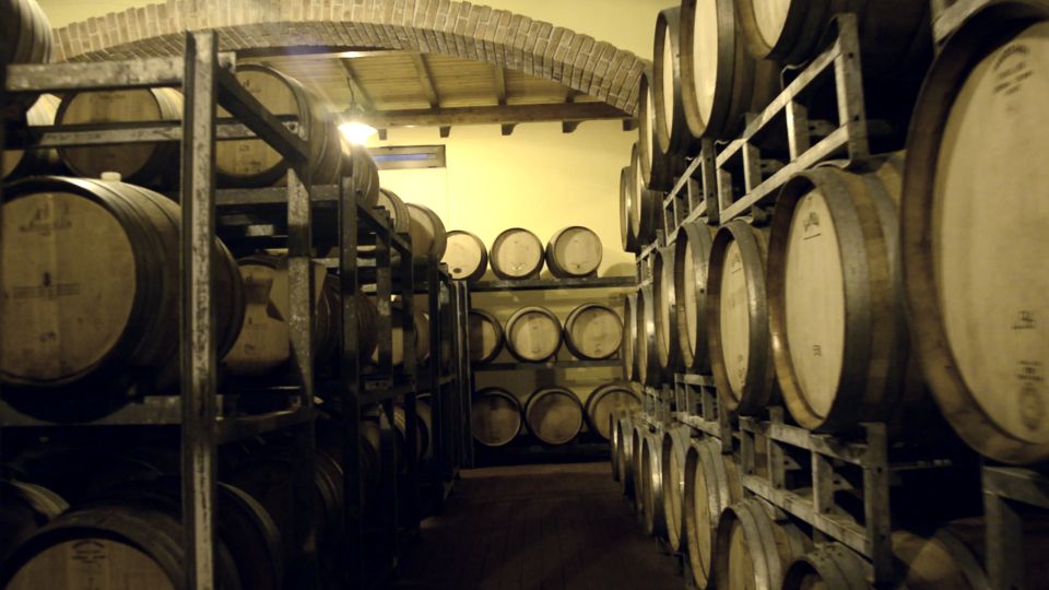 Cefalù: Half-Day Wine Tasting Tour in Castelbuono - Itinerary Highlights