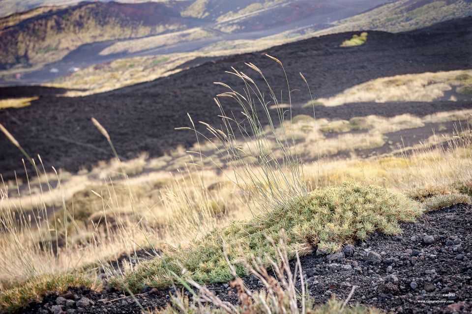 Cefalù: Mount Etna to 1900-Meters and Taormina Tour - Weather and Safety Guidelines