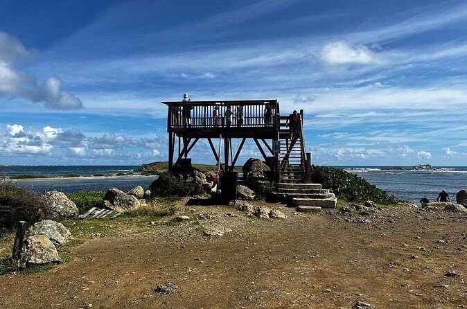 Celeb Island Adventure Tour - What Sets This Tour Apart