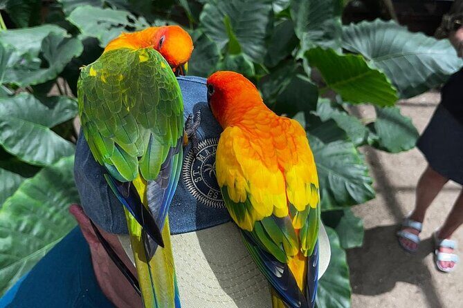 Celeb Island Adventure Tour - Final Thoughts