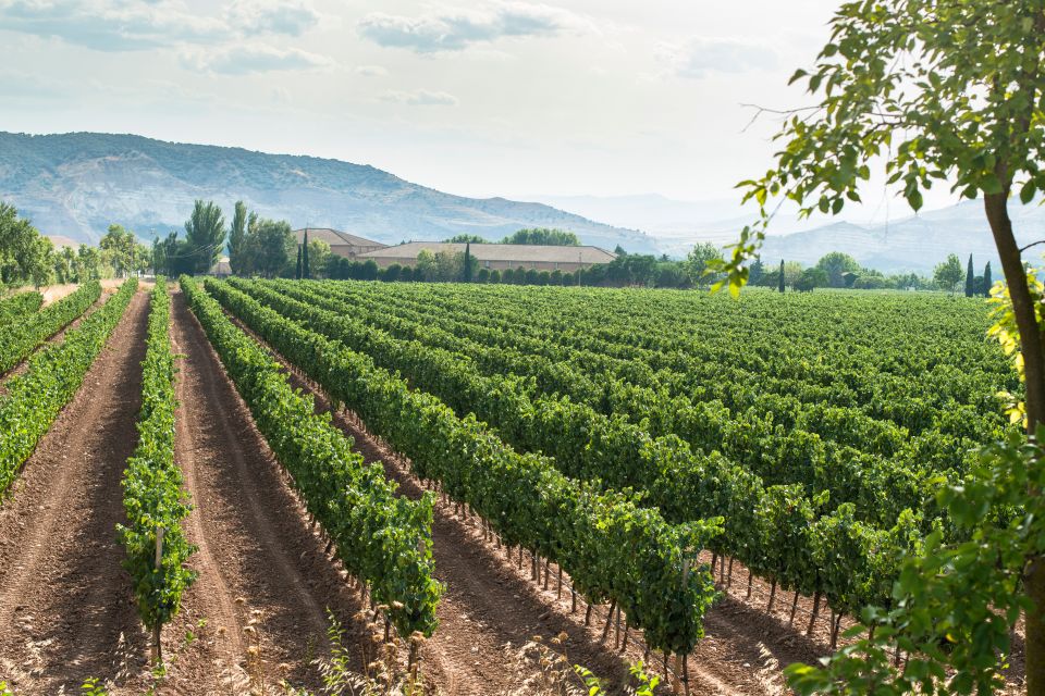 Celebrate Amarone: Italys Finest Wine - Winery Tour Experience