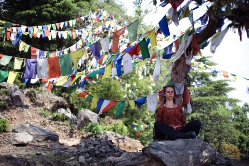 Celebrate the Birthday of Buddha in Budhha Jayanti - Visitor Tips
