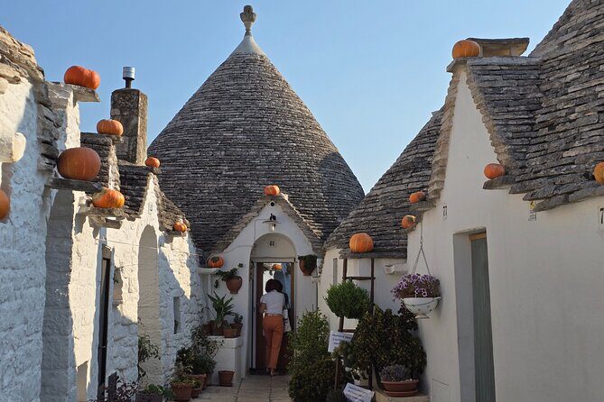 Celebrity Cruise Shore excursion Discover Alberobello and Ostuni - Key Points