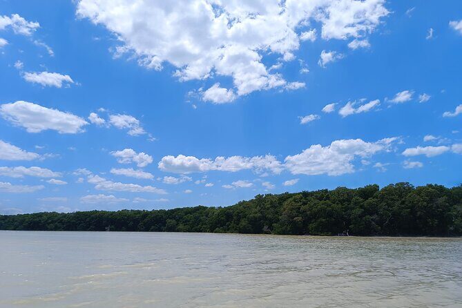 Celestun Beach and Mangrove Boat Ride from Merida - Frequently Asked Questions