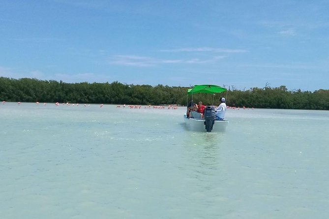Celestun Biosphere Reserve Tour From Merida - Accessibility and Confirmation