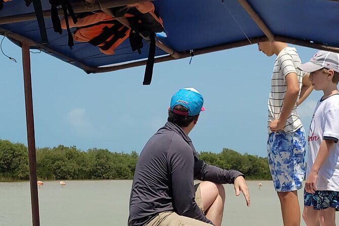 Celestun, Flamenco Adventure, from Merida - Introduction