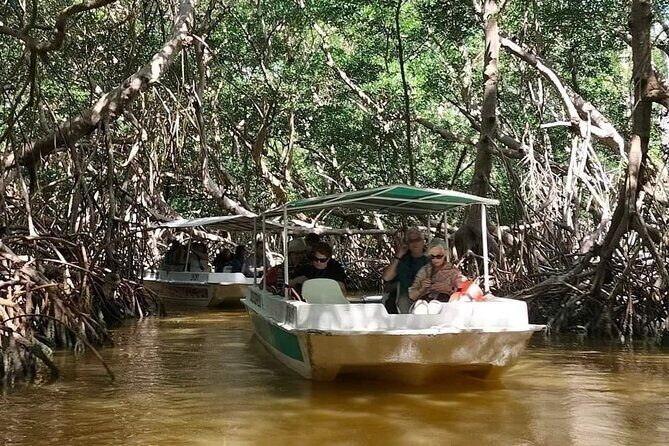 Celestun, Flamenco Adventure, from Merida - What Travelers Say & Why It Matters