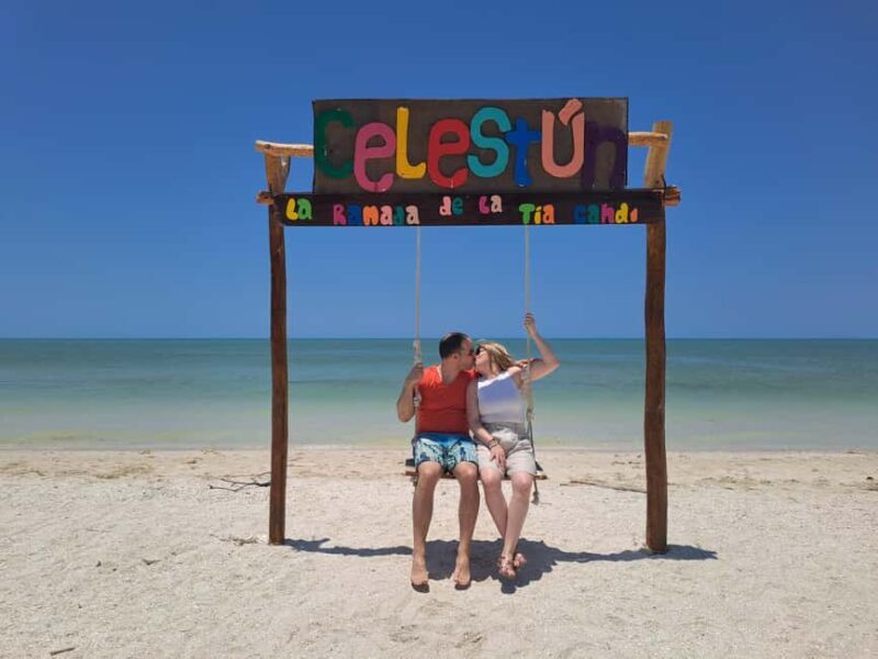 Celestun + Lunch, Boat Ride & beach time. - Key Points