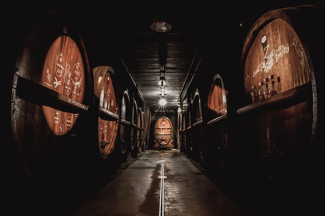 Cellar Visit and 100% Immersive Vegetarian Meal to Strasbourg - Review Highlights and Recommendations