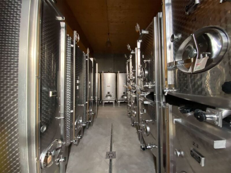 Cellar Visit and Alsace Wine Tasting With a Feminine Touch - Guided Tour Details