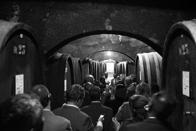 Cellar Wine Tour - Savoring the Wine Tasting Sessions