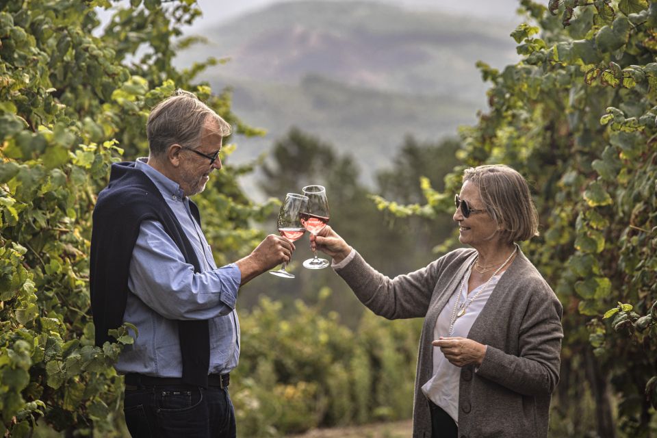 Celorico De Basto: Quinta De Santa Cristina Winery Tour - Key Points