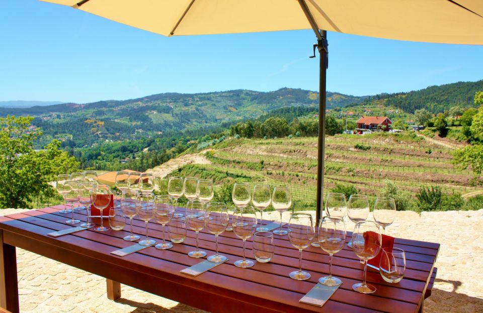 Celorico De Basto: Quinta De Santa Cristina Winery Tour - Vineyard and Winery