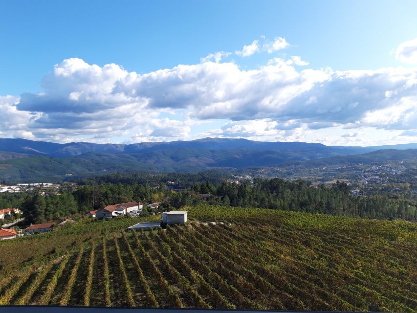 Celorico De Basto: Quinta De Santa Cristina Winery Tour - Surrounding Landscape