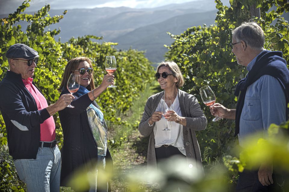 Celorico De Basto: Quinta De Santa Cristina Winery Tour - Customer Reviews