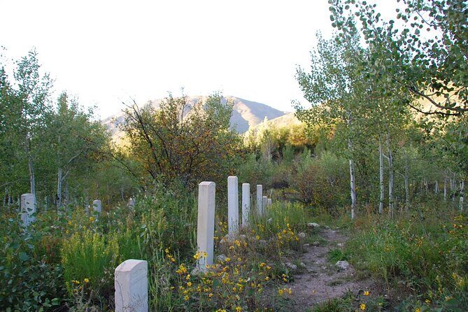 Cemetery Tour - The Experience: A Walk Through Aspen’s Past