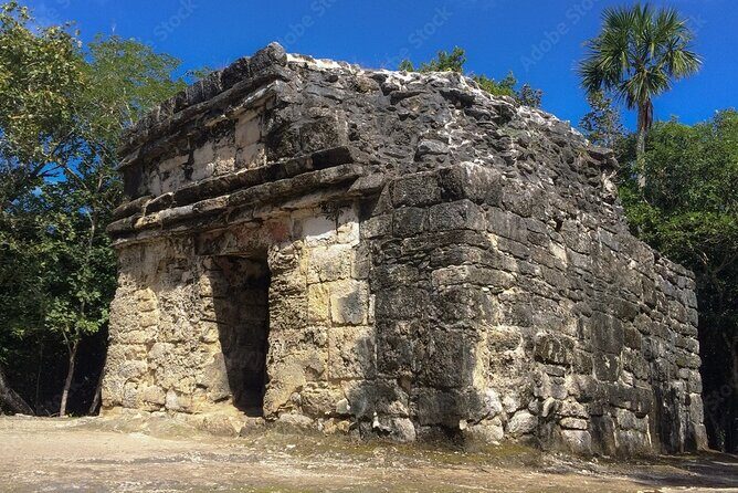 Cenote and Ancient Mayan Ruins Tour with Tequila in Cozumel - Who Will Love This Tour?