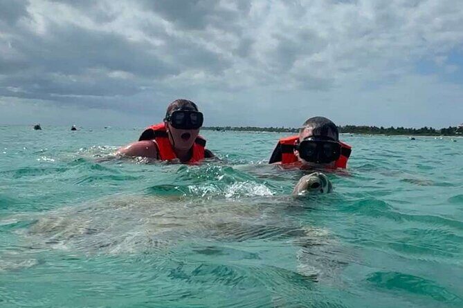 Cenote and Swimming with Turtles Private Tour in Akumal - The Bottom Line