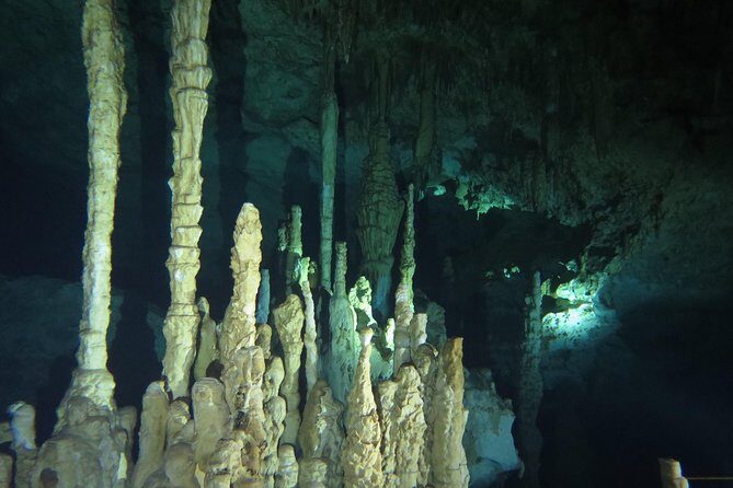 Cenote diving Dream Gate - Introduction: What to Expect from the Dream Gate Cenote Tour