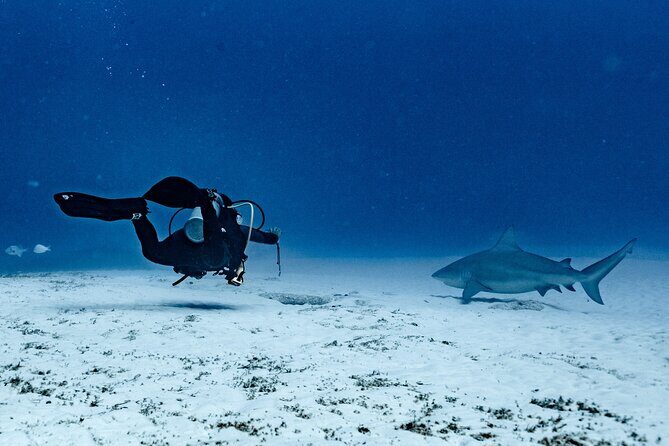 Cenote Diving in Tulum A Thrilling Adventure for Certificates - Key Points