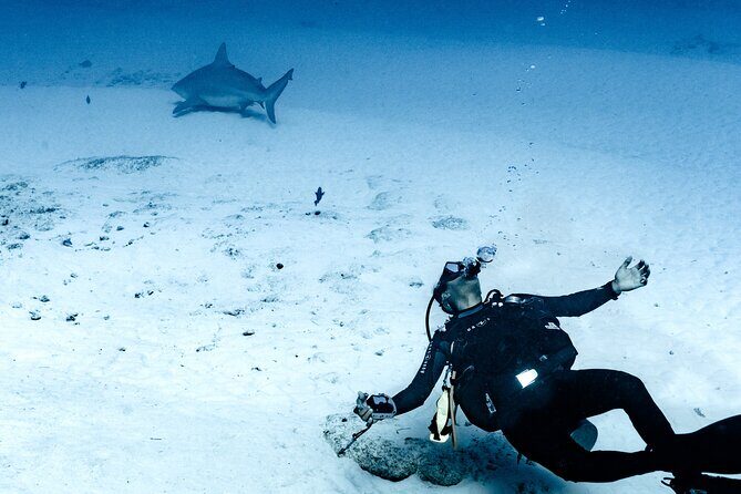 Cenote Diving in Tulum A Thrilling Adventure for Certificates - Diving into the Cenotes: An In-Depth Look