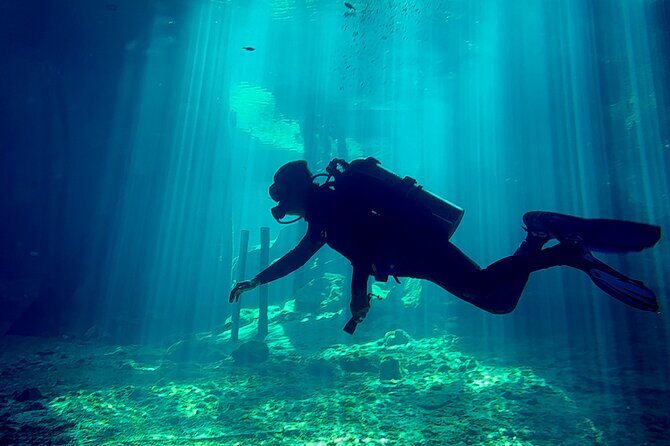 Cenote Dreamgate Guided Scuba Diving - Who Should Book This Tour?