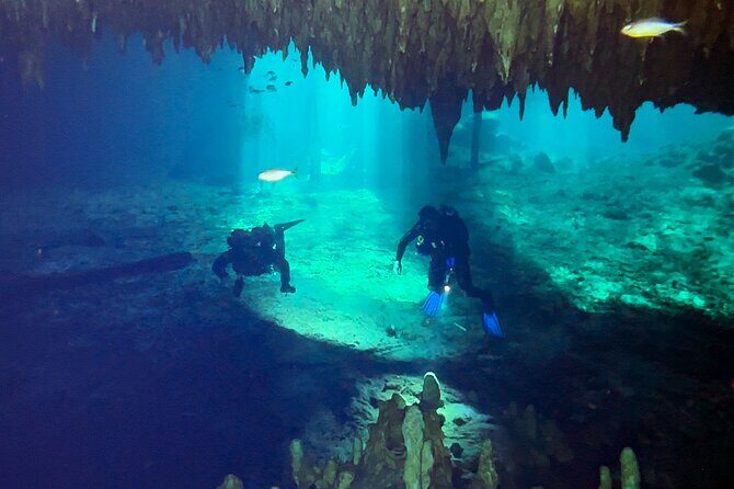 Cenote Dreamgate Guided Scuba Diving - The Sum Up