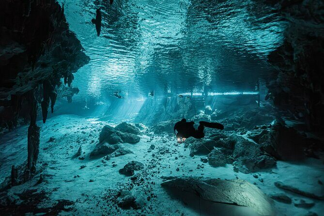 Cenote El Pit and Dos Ojos Dive Trip - Key Points