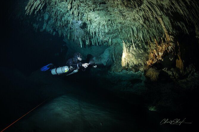 Cenote El Pit and Dos Ojos Dive Trip - An In-Depth Look at the Cenote El Pit and Dos Ojos Tour