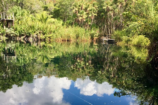 Cenote, Jungle, Bike & Lunch - Key Points