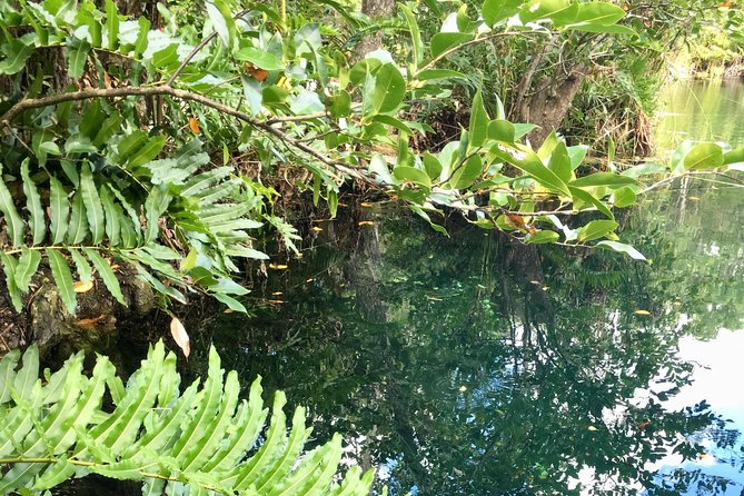 Cenote, Jungle, Bike & Lunch - Meeting and Pickup Information