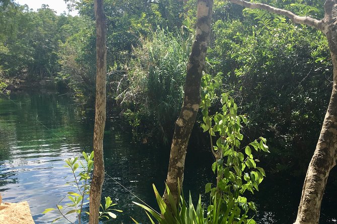 Cenote, Jungle, Bike & Lunch - Cenotes, Aquatic Fauna, and Environment