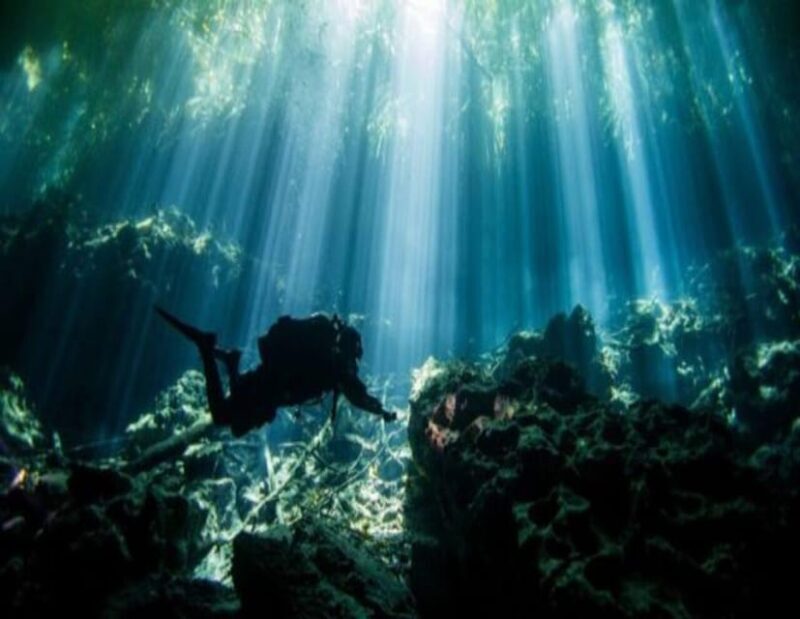 Cenote PRO Just for Experts - The Sum Up